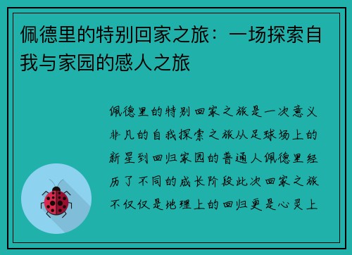 佩德里的特别回家之旅：一场探索自我与家园的感人之旅
