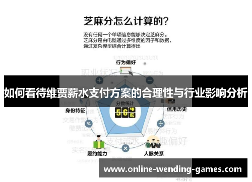 如何看待维贾薪水支付方案的合理性与行业影响分析