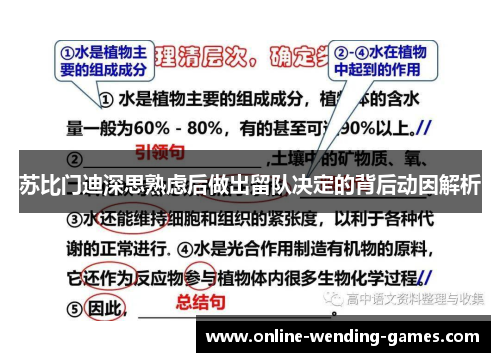 苏比门迪深思熟虑后做出留队决定的背后动因解析