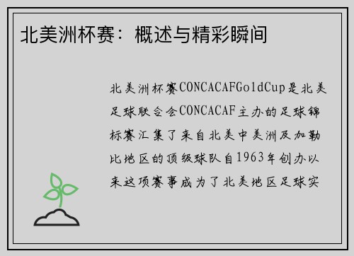 北美洲杯赛：概述与精彩瞬间