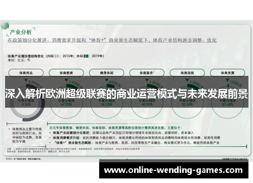 深入解析欧洲超级联赛的商业运营模式与未来发展前景