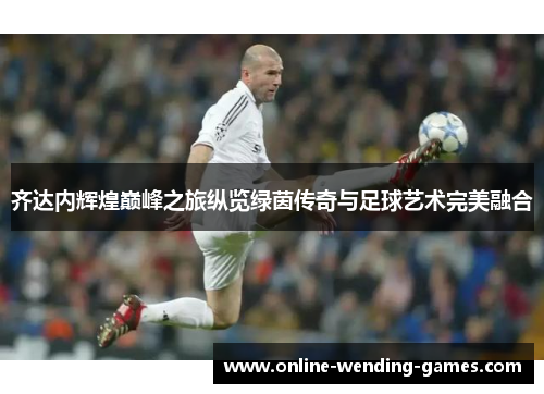 齐达内辉煌巅峰之旅纵览绿茵传奇与足球艺术完美融合